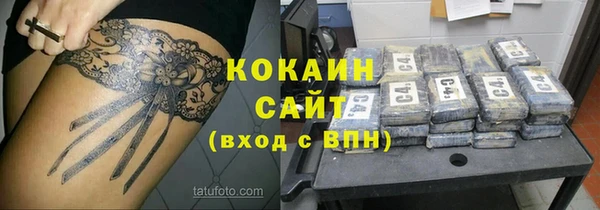 шишки Пересвет