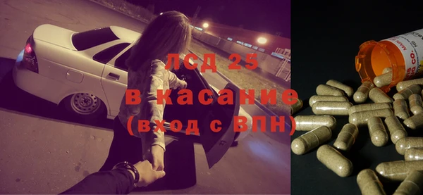 шишки Пересвет