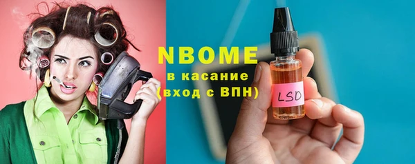 шишки Пересвет