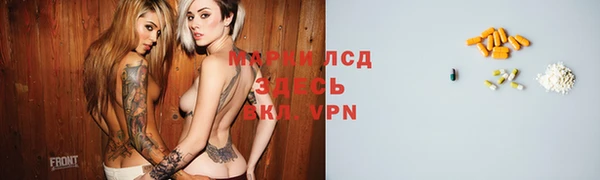 шишки Пересвет