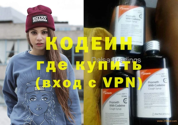 шишки Пересвет