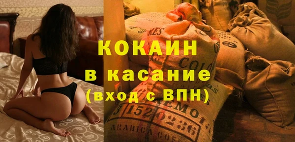 шишки Пересвет