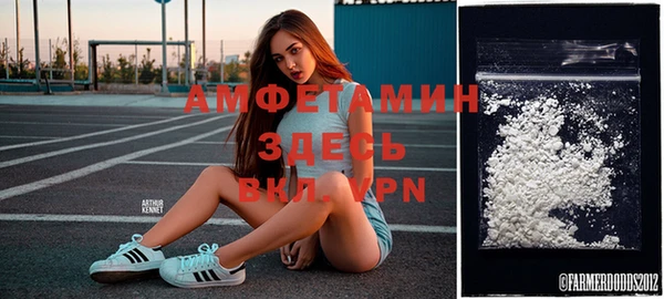 шишки Пересвет