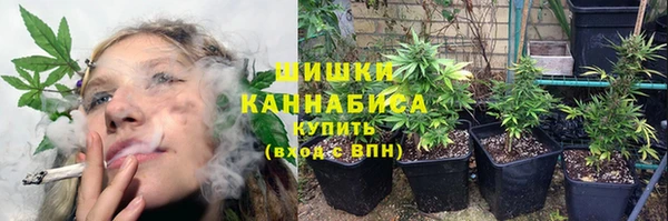 индика Покровск