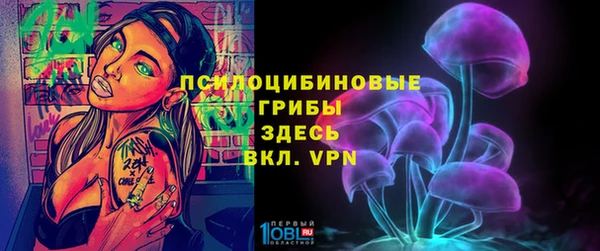 прущая мука Пестово