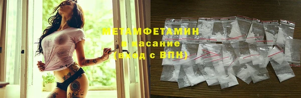 шишки Пересвет